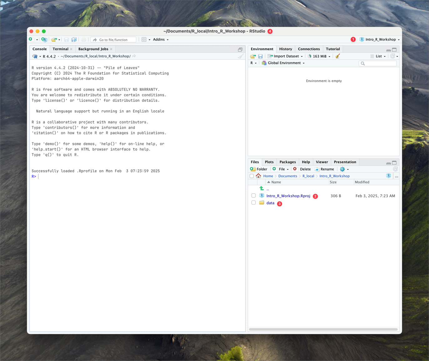 RStudio project